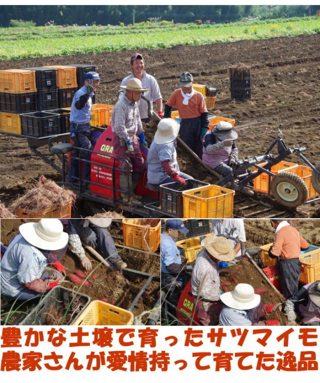 大分冷凍焼き芋ベネ2