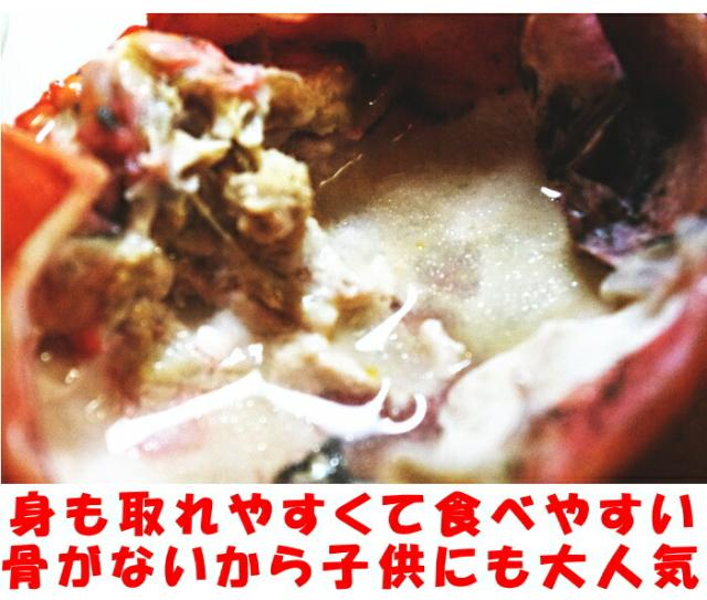 鳥取未冷凍紅ずわい蟹ベネ2