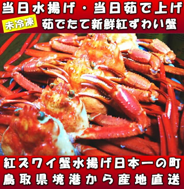 鳥取未冷凍紅ずわい蟹ファースト