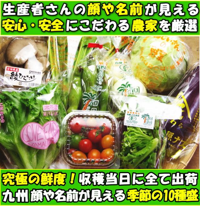 九州産野菜セット