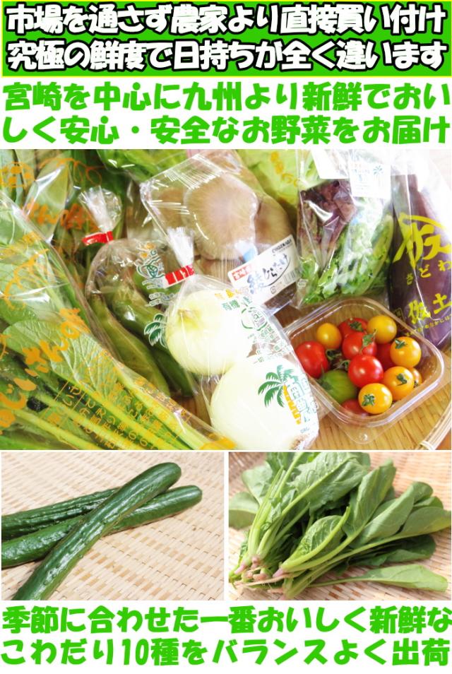 九州野菜セットベネ１