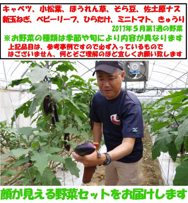 九州野菜セットベネ２