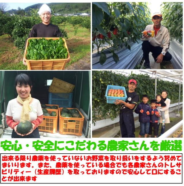 九州野菜セットベネ３