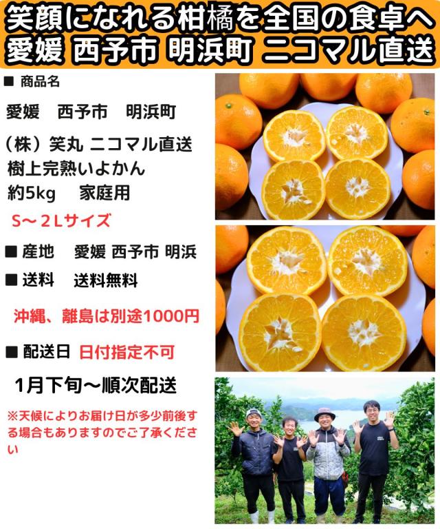 愛媛ニコマルいよかんスペック