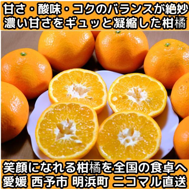 愛媛ニコマルいよかんファースト