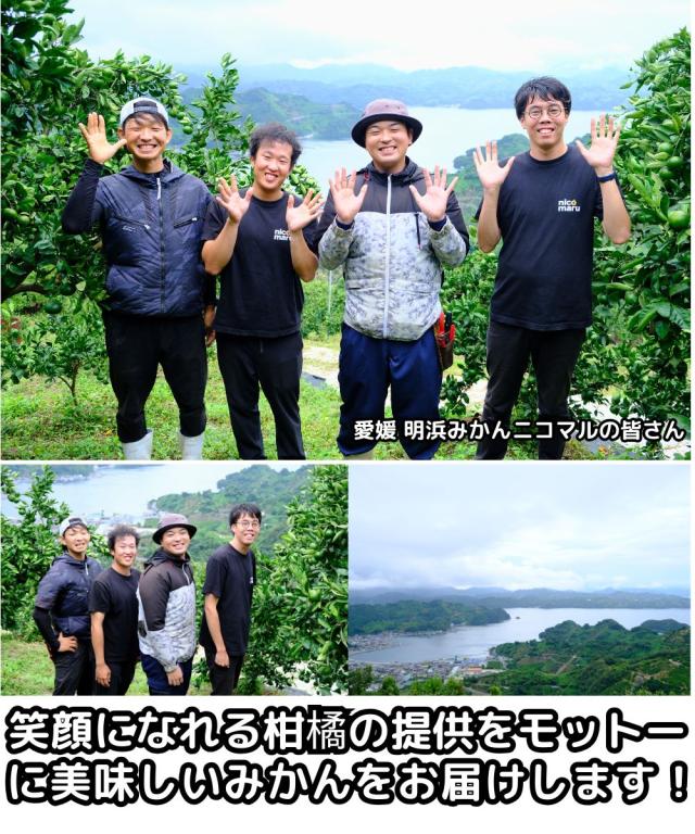 愛媛明浜みかんベネ2