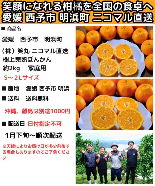 愛媛ニコマルぽんかんsp