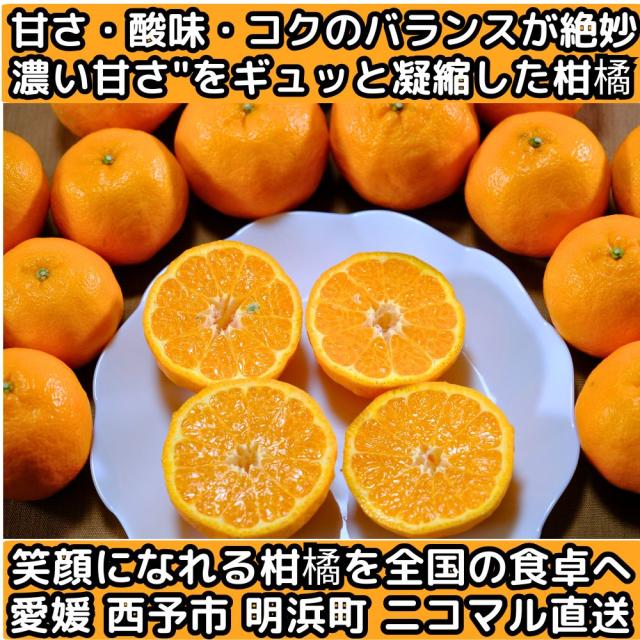 愛媛ニコマルポンカンファースト