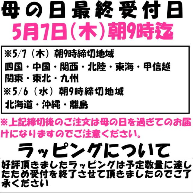 鹿児島大輪のユリ注文前に2