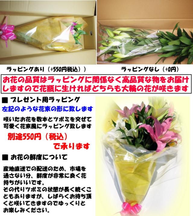 鹿児島旬のユリスペック