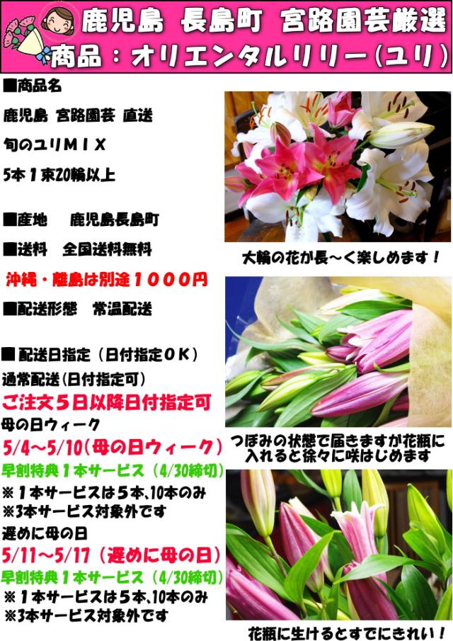 鹿児島旬のユリミックススペック
