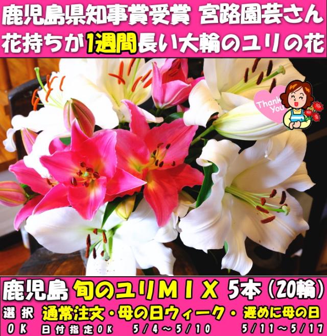 鹿児島旬のユリミックスファースト