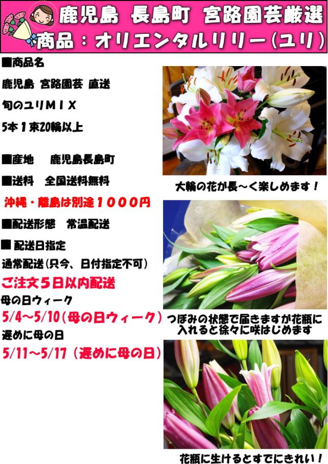 鹿児島旬のユリミックススペック