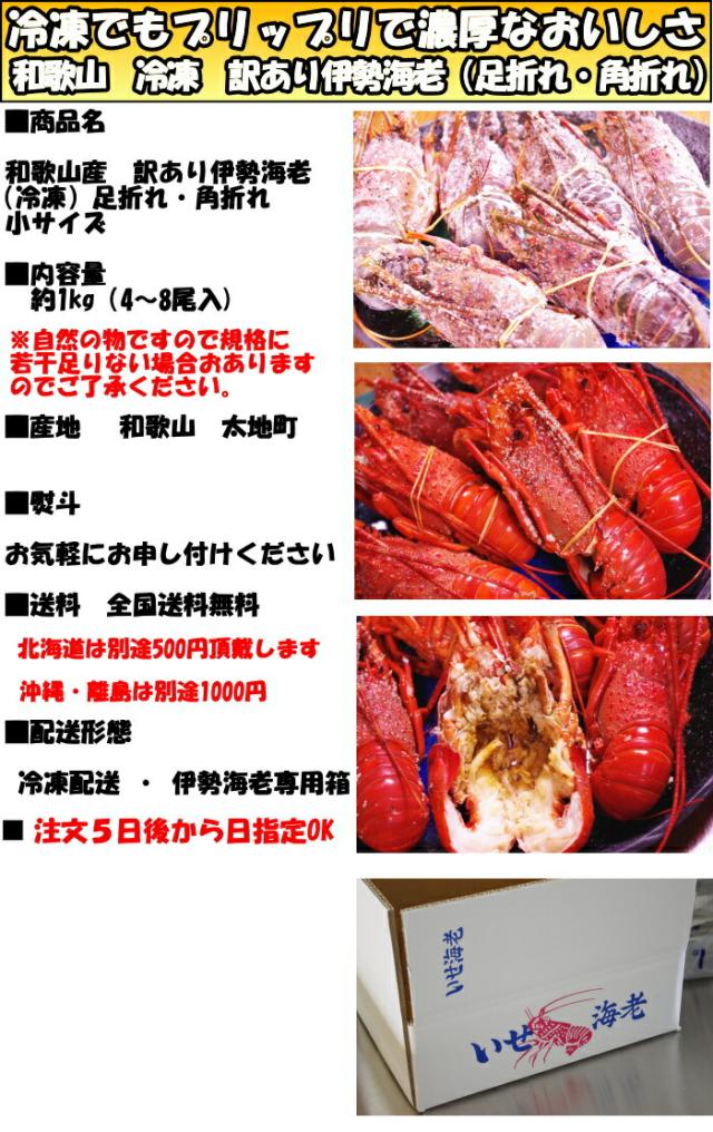 和歌山伊勢海老スペック