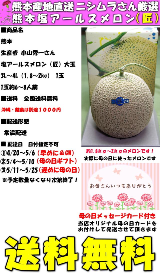 熊本母の日メロンスペック