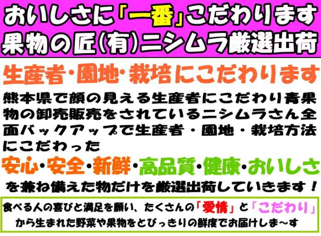 熊本産地直送ニシムラさんアピール１