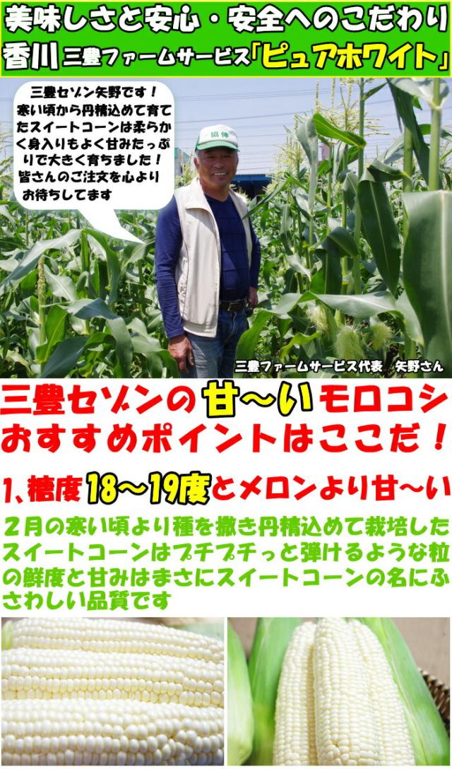 香川三豊ファーム紹介1