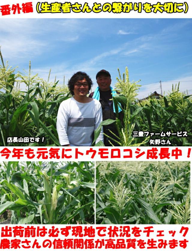 香川三豊ファーム生産者紹介3