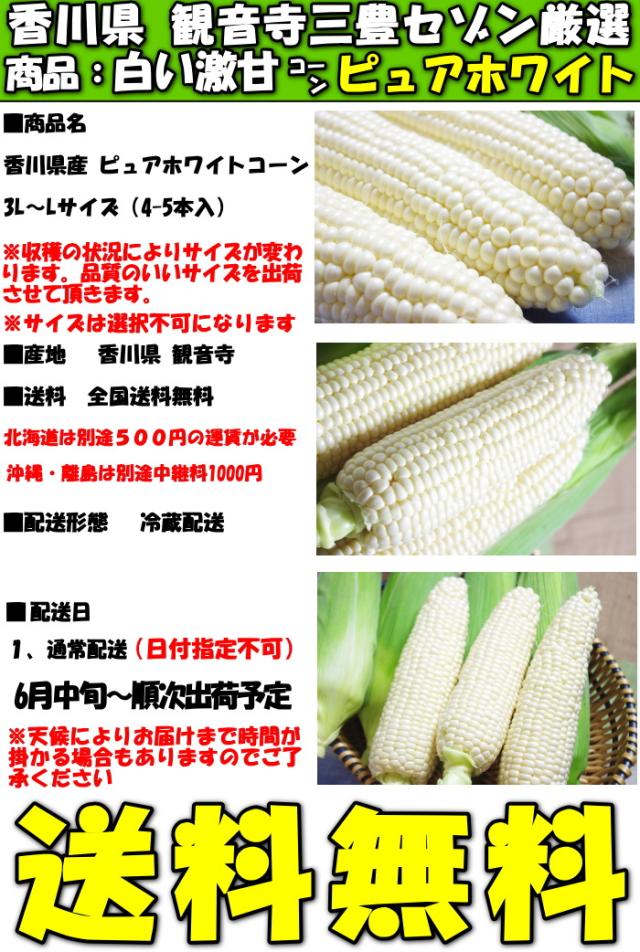 香川ピュアホワイトスペック