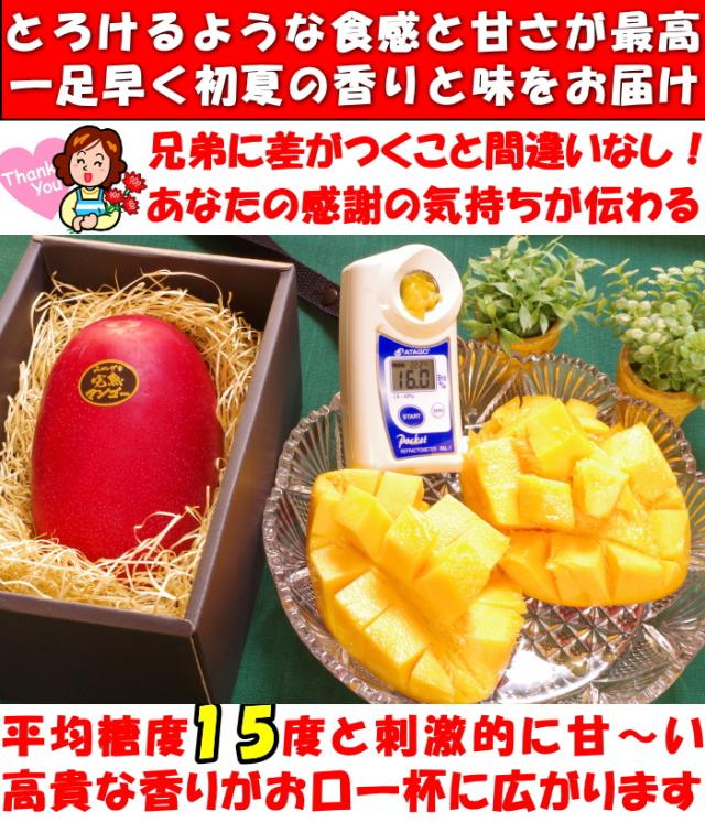 宮崎母の日完熟マンゴーベネ1