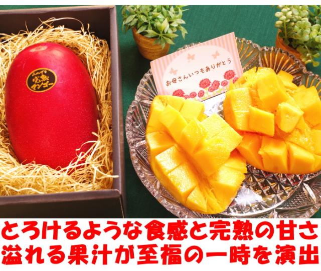宮崎完熟母の日マンゴーベネ2