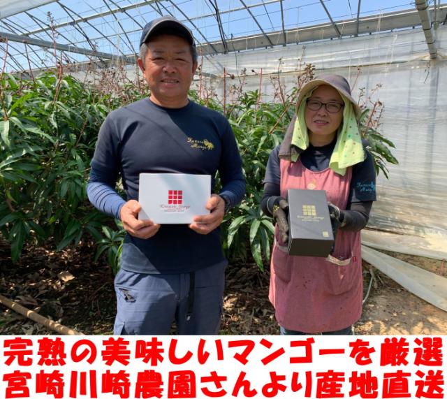 宮崎完熟母の日マンゴーベネ4