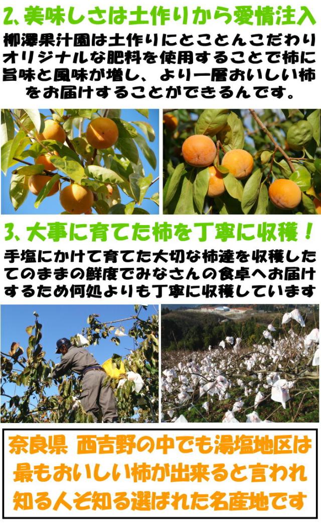 奈良柳澤冨有柿アピール2