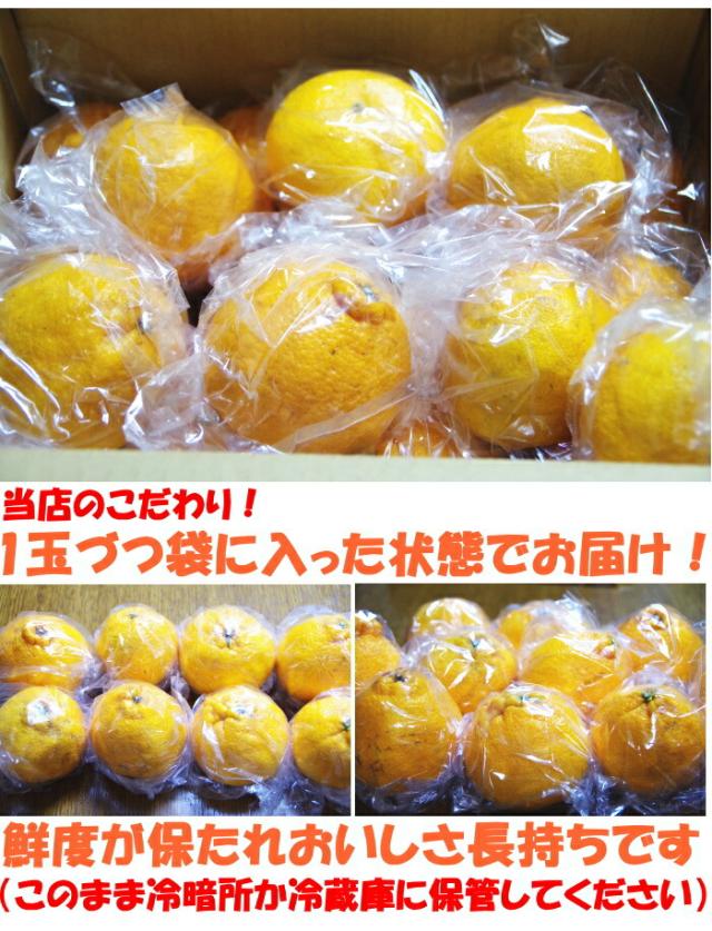 熊本不知火ベネ5