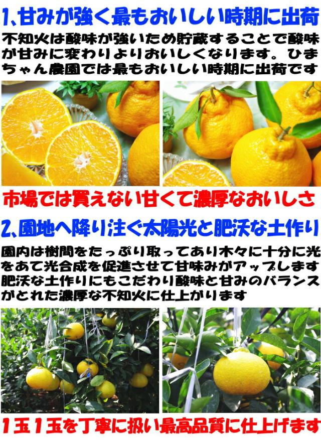 熊本ひまちゃん農園アピール2