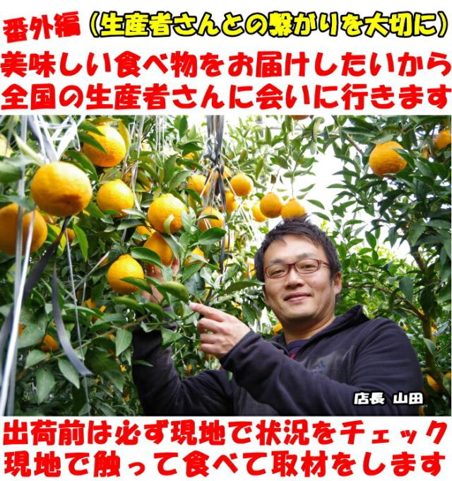 熊本ひまちゃん訪問1