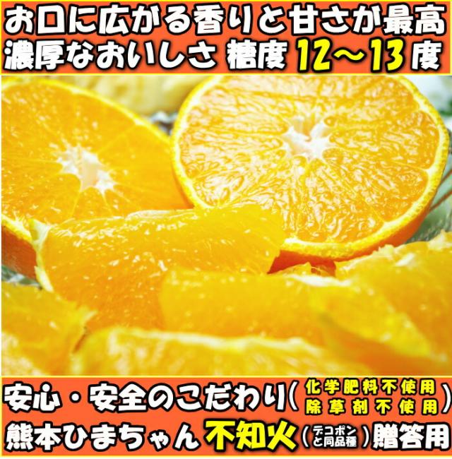 熊本ひまちゃん農園不知火ファースト