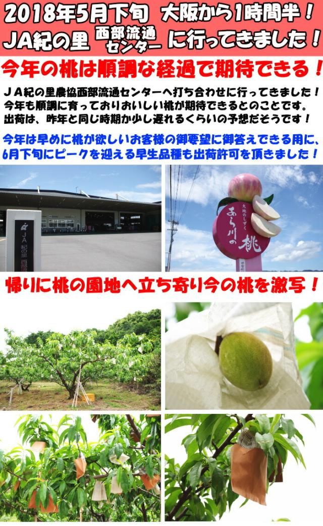 和歌山あら川訪問1