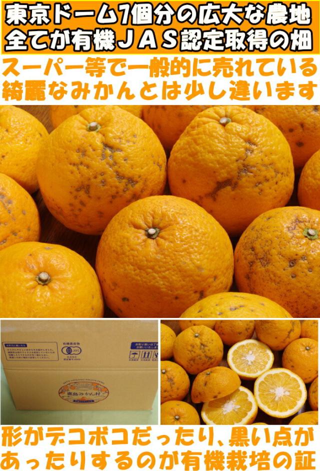 佐賀有機JAS認証甘夏ベネ1