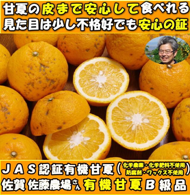 佐賀有機JAS認証甘夏ファースト1