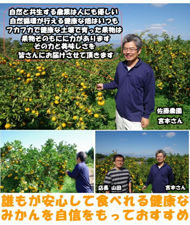 佐賀有機JASスイートスプリングベネ3
