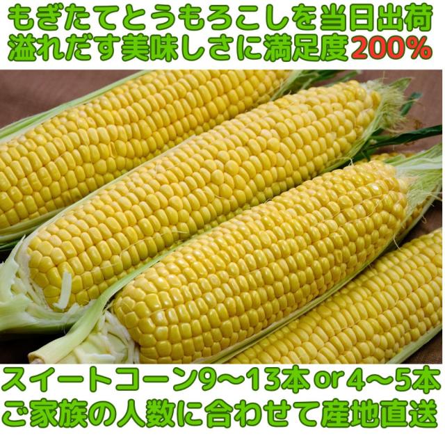 長崎産とうもろこしベネ2