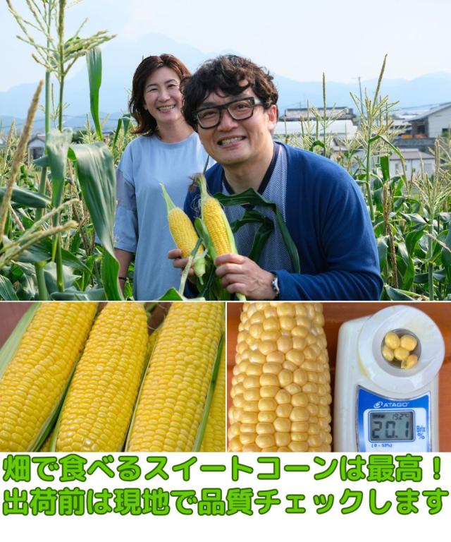 長崎とうもろこしベネ4