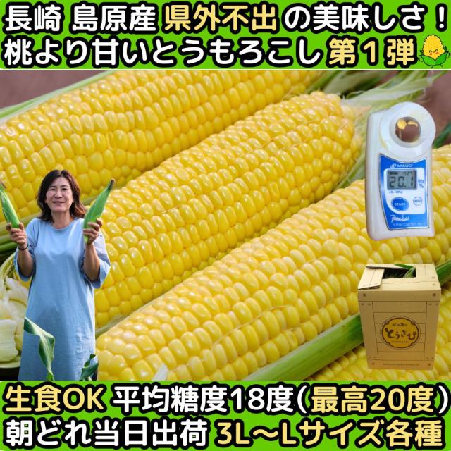 長崎とうもろこしコーンファースト