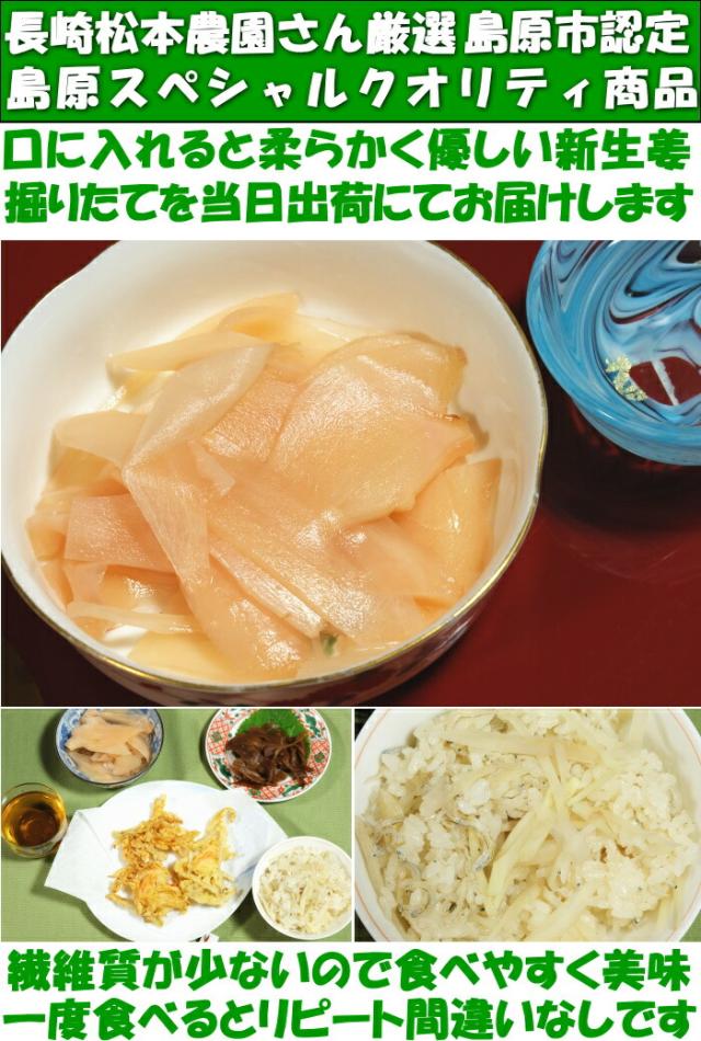 長崎新生姜ベネ1