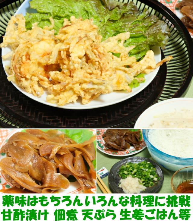 長崎新生姜ベネ2