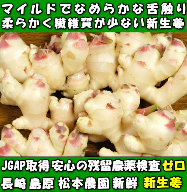 長崎島原新生姜ファースト