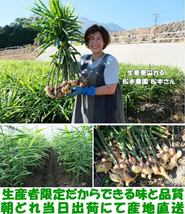 長崎新生姜ベネ3