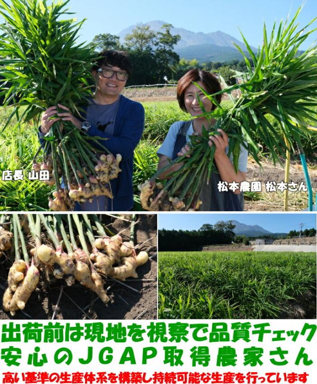 長崎新生姜ベネ4
