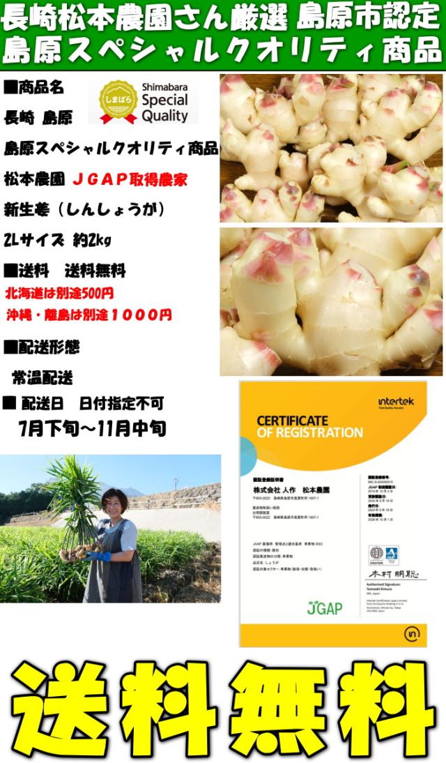 長崎新生姜2kgスペック