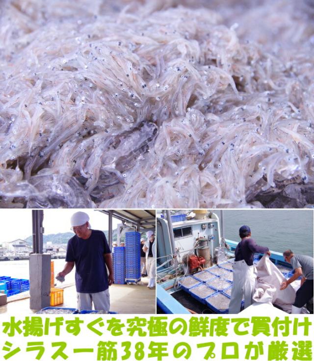 和歌山茹でたて釜揚げしらすベネ2
