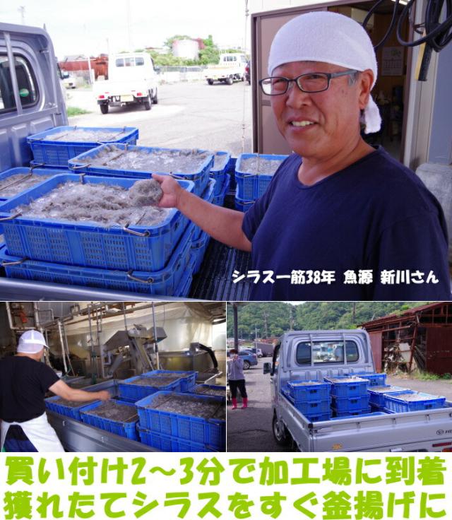 和歌山茹でたて釜揚げしらすベネ3