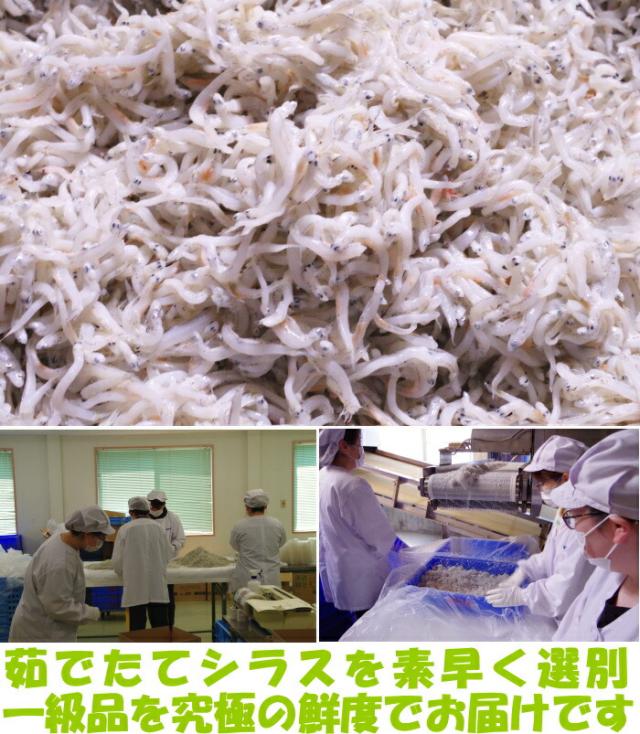 和歌山赤揚げシラスベネ5