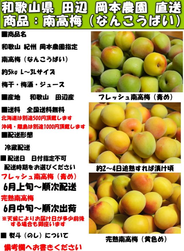 和歌山南高梅5kgスペック
