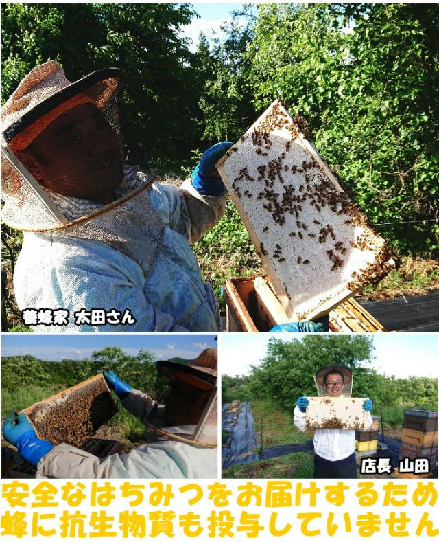 国産純粋ハチミツベネ3