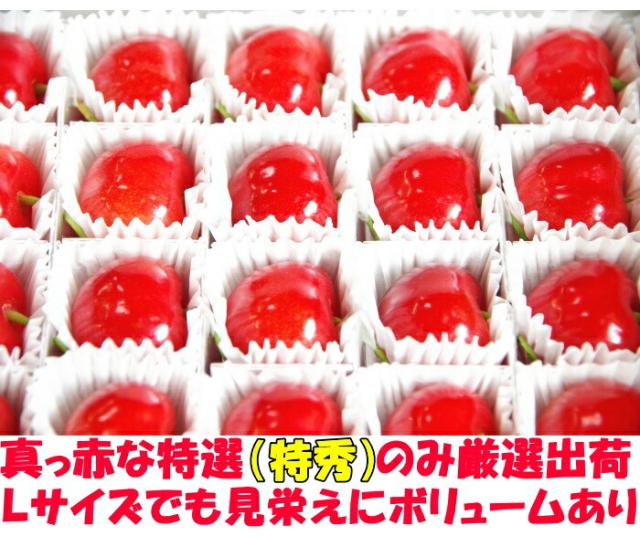 山形母の日さくらんぼベネ2